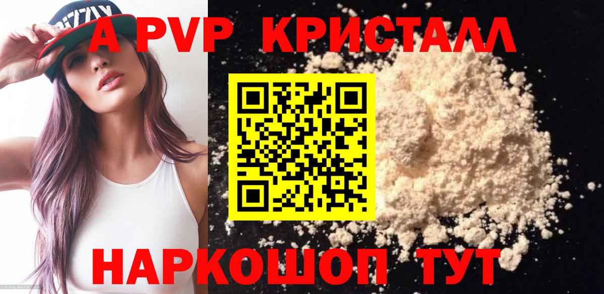 Alfa_PVP СК Сунжа