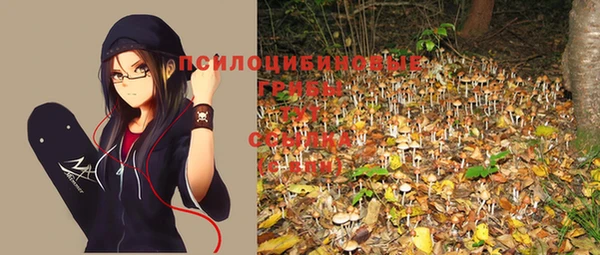 spice Куйбышев