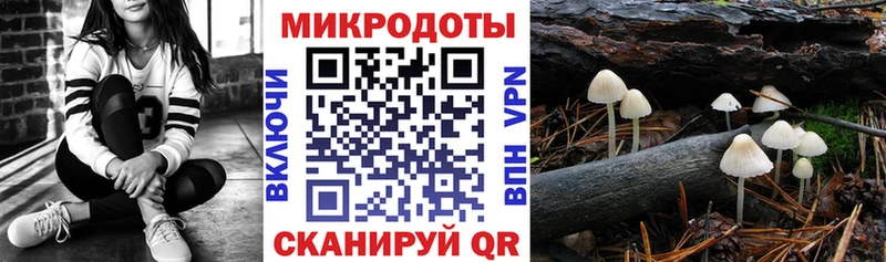 Псилоцибиновые грибы мицелий  omg онион  Сунжа 