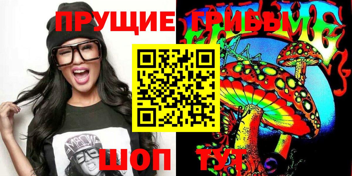 Галлюциногенные грибы Psilocybe  Сунжа 