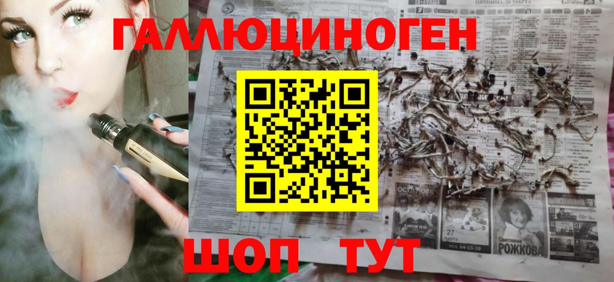 Сунжа  закладки  Вход с VPN  Псилоцибиновые грибы Psilocybine cubensis 