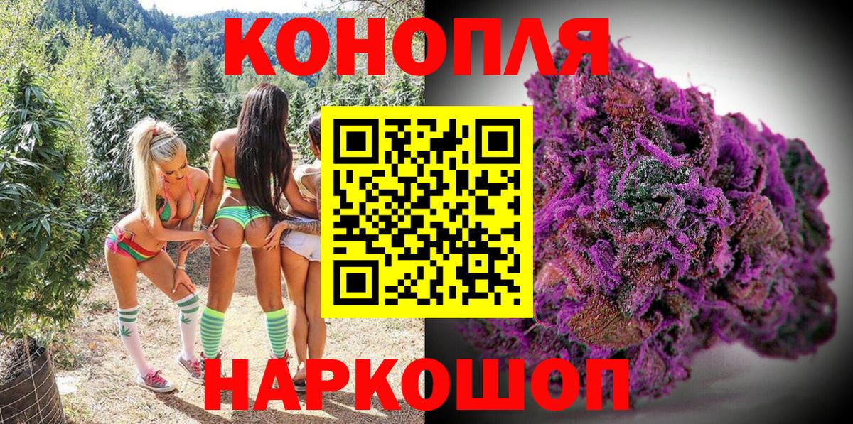 Марихуана семена Сунжа